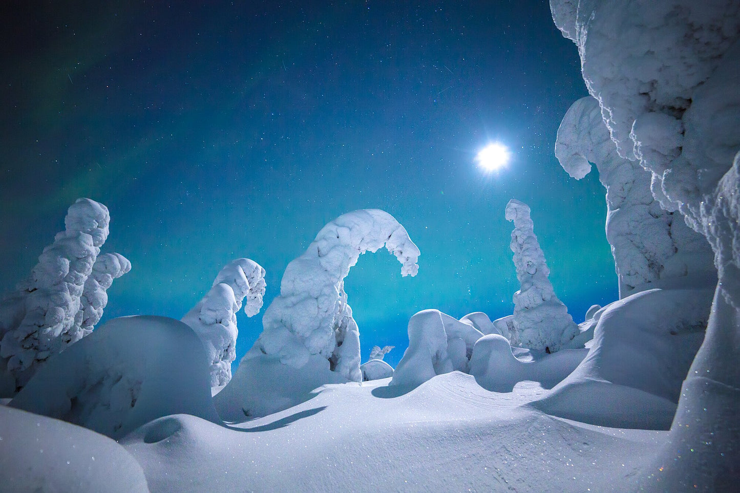 Snowy fell at night with moonlit trees, stars, and faint Northern Lights in the Arctic.