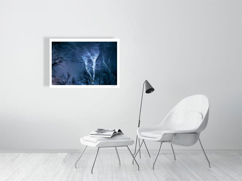 Winter storm at night photo, swaying trees, blue light, electrifying motion, white living room wall.