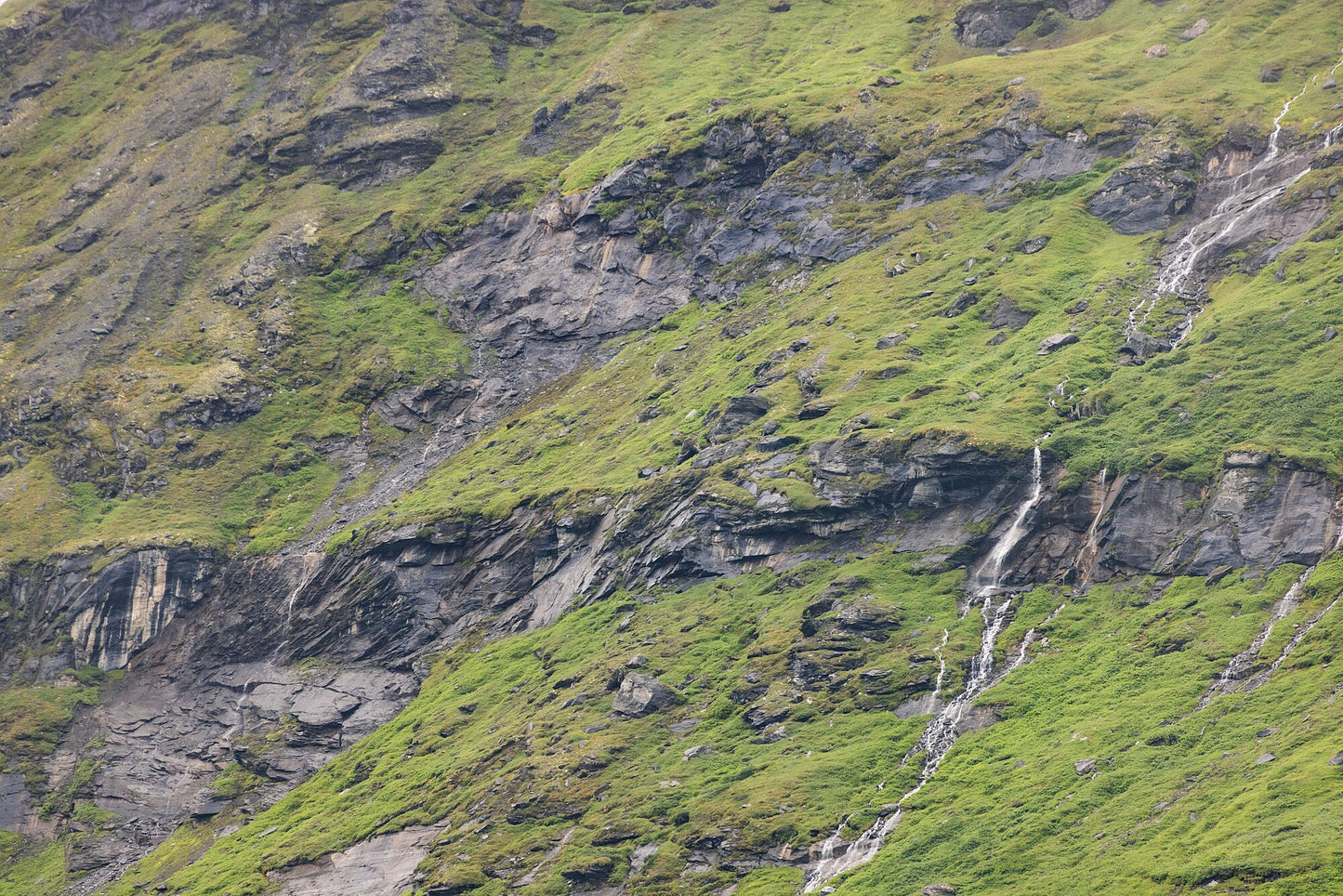 Meltwater trickling down rocky Norwegian mountain, green patches, natural beauty.