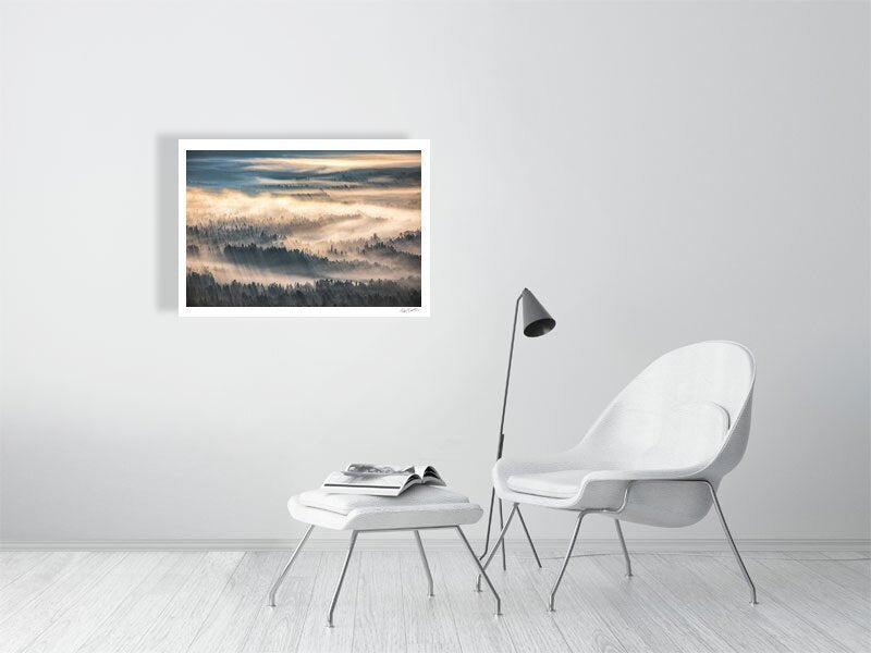 Photo of misty forest valley, sunrise casts delicate yellow hues, white living room wall.