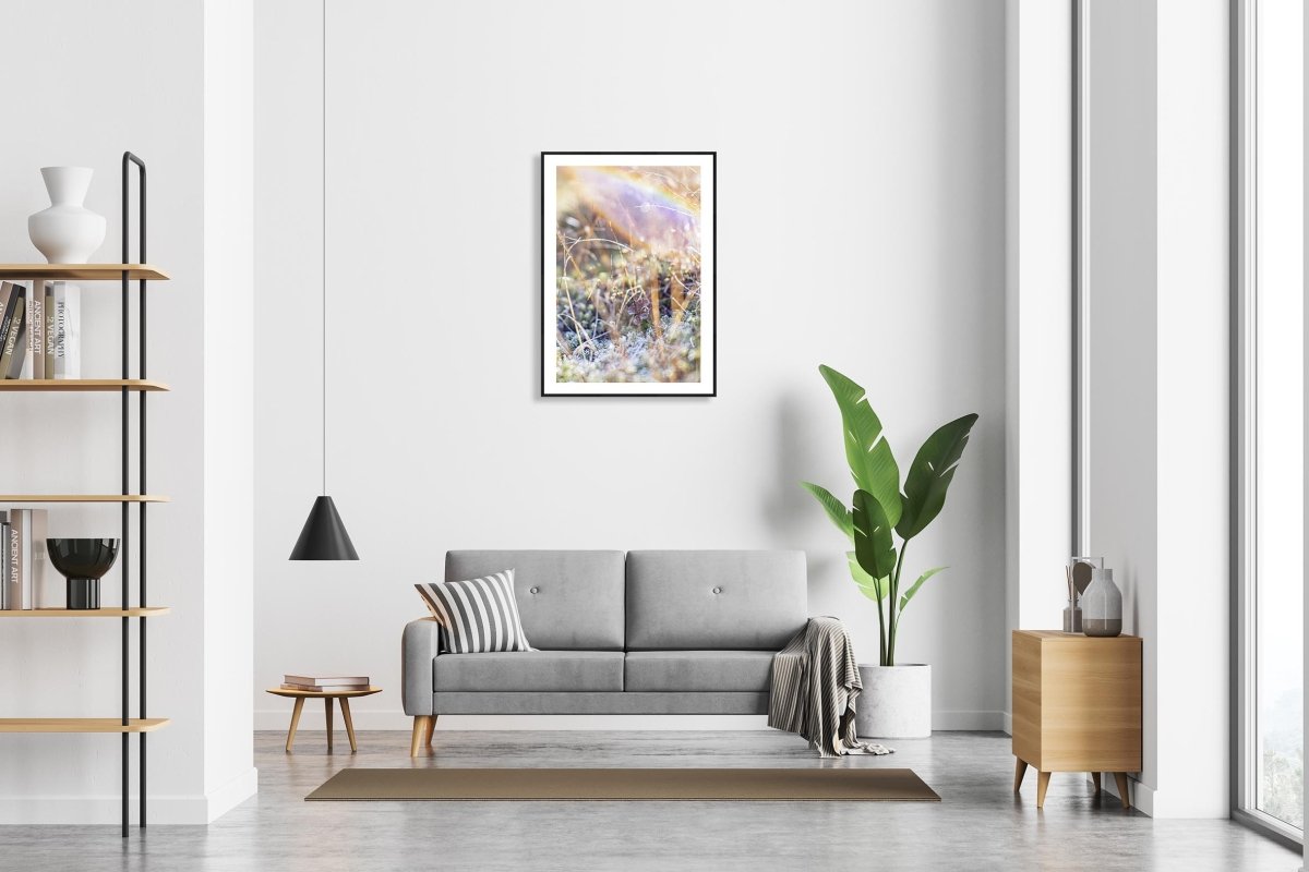 Framed fine art photography print of shining frosty marshland plants and is hung on a white wall above a sofa in a modern living room.