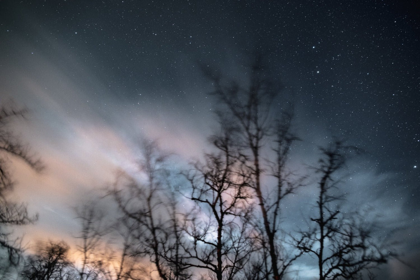 Winter storm long exposure photo of swaying trees, rushing clouds, and fixed stars.