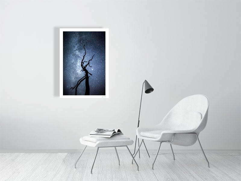 Deadwood tree starry night sky Milky Way photo, white living room wall.