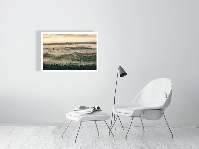 Aerial photo print of northern forest shrouded in mist and clouds, morning sunlight, white living room wall.