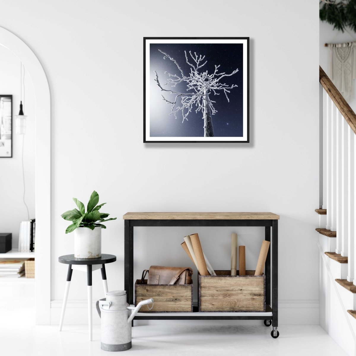 Framed frosty deadwood print, moonlight, starry sky, white wall.