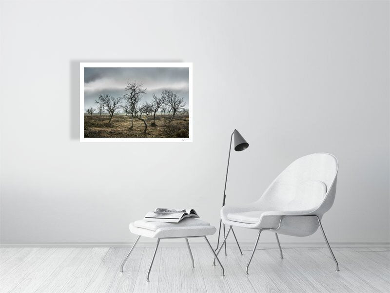 Photo of autumnal mountain birches against overcast sky, white living room wall.