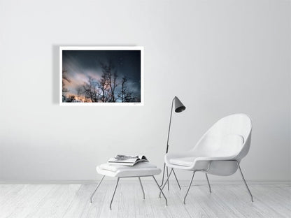 Winter storm long exposure photo print of swaying trees, rushing clouds, and fixed stars, white living room wall.