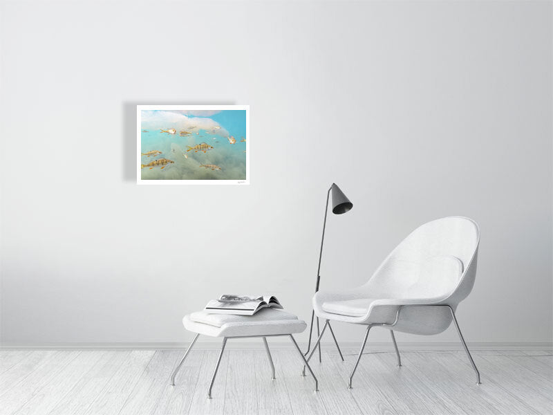 Print of perch seemingly flying in algae-filled lake on a white wall in a living room.