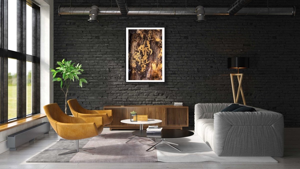 Framed fine art print of bark beetle marks on a tree, hangs on a black brick wall above a cabinet in a modern living room.