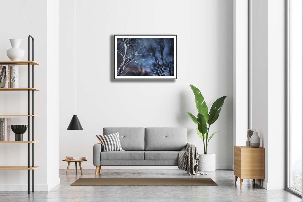 Framed winter storm long exposure photo of swaying trees, white wall in modern living room.