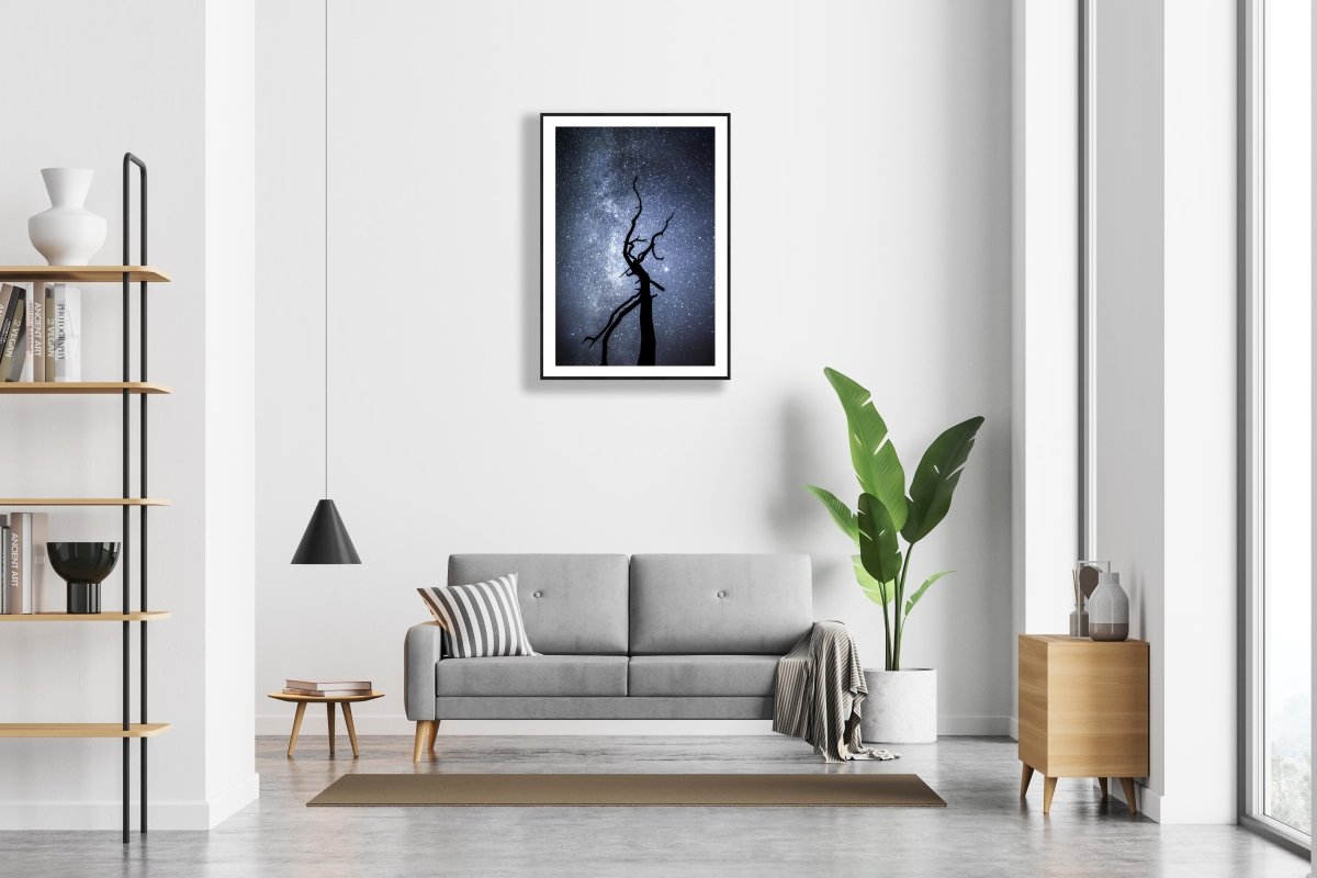 Framed deadwood tree starry night sky Milky Way photo, white living room wall.