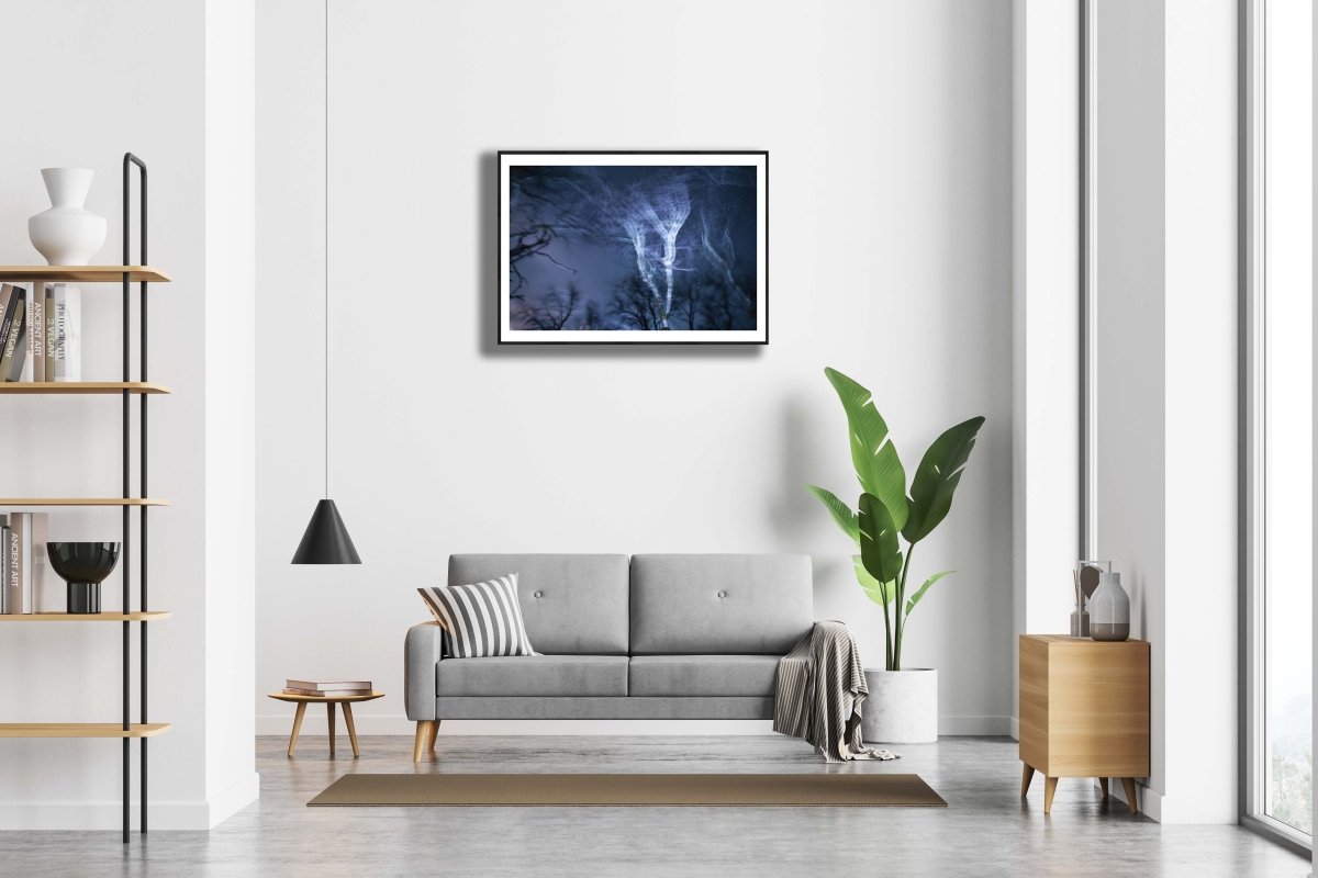 Framed winter storm at night photo, swaying trees, blue light, electrifying motion, white living room wall.