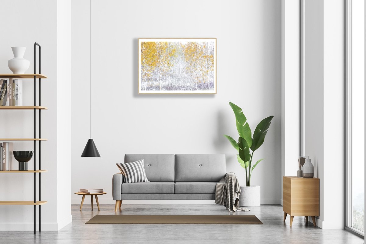 Autumn birch forest snowfall, ICM photo, blurry trees, oak frame, white wall above sofa.