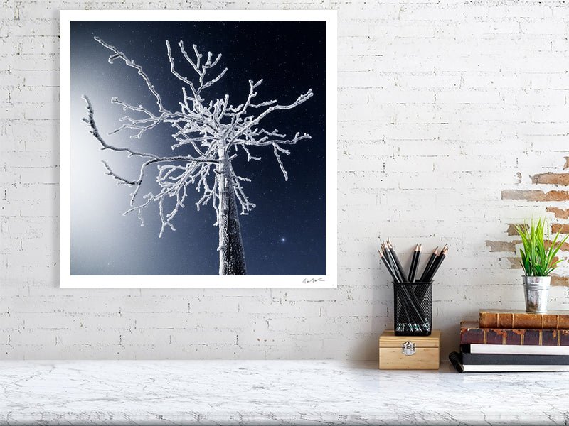 Frosty deadwood print white living room wall.