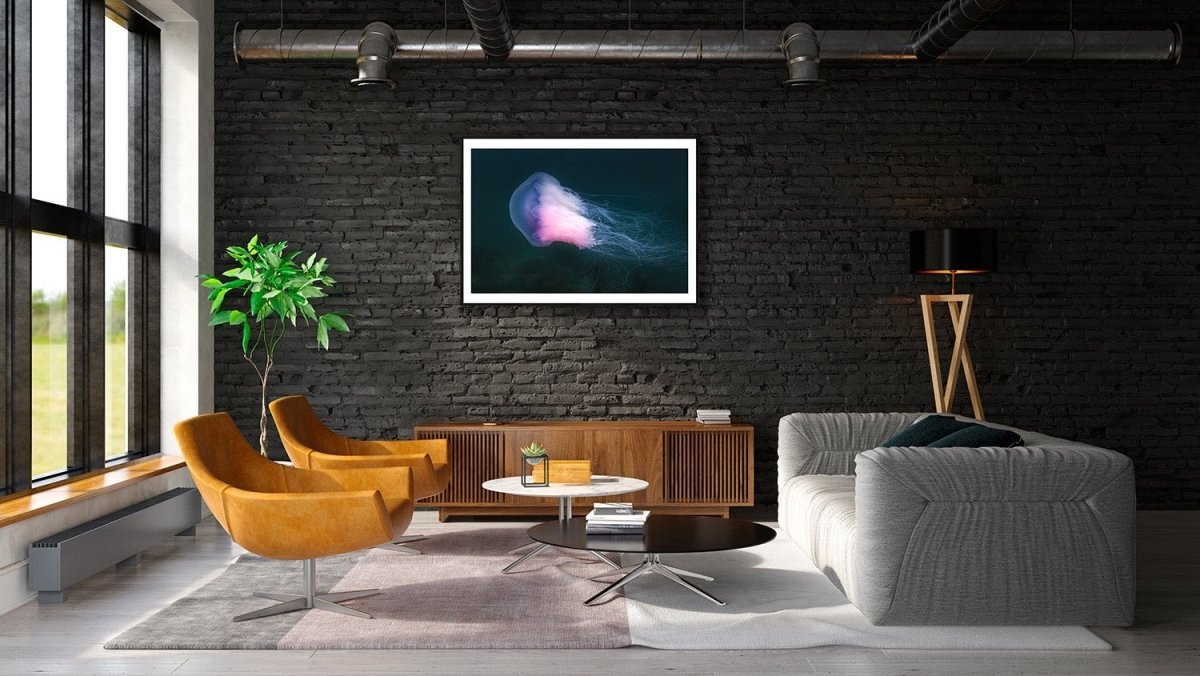 Framed photo of large violet jellyfish drifting in Norwegian Sea, black brick living room wall.