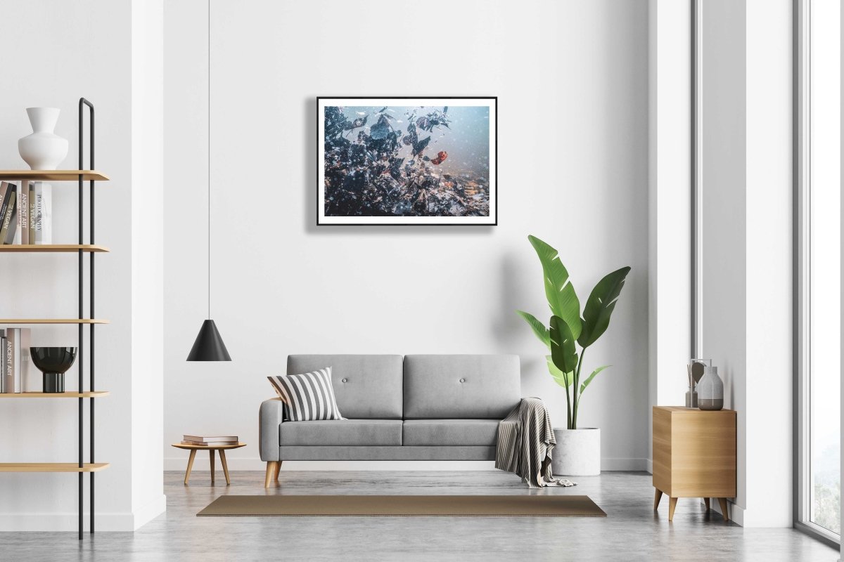 Framed underwater swirling autumn leaves photo, white wall above sofa in modern living room.