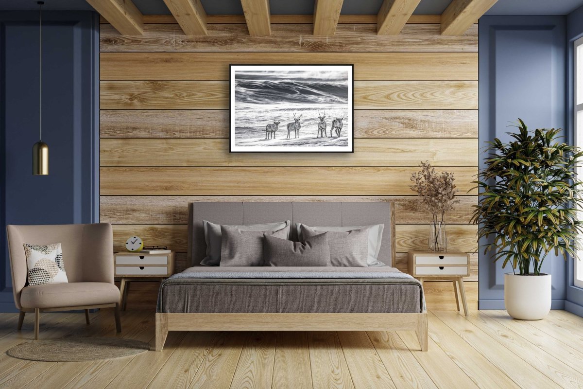 Framed photo of reindeer herd in Arctic wilderness, snow and ice, wind blowing snow, wooden bedroom wall.