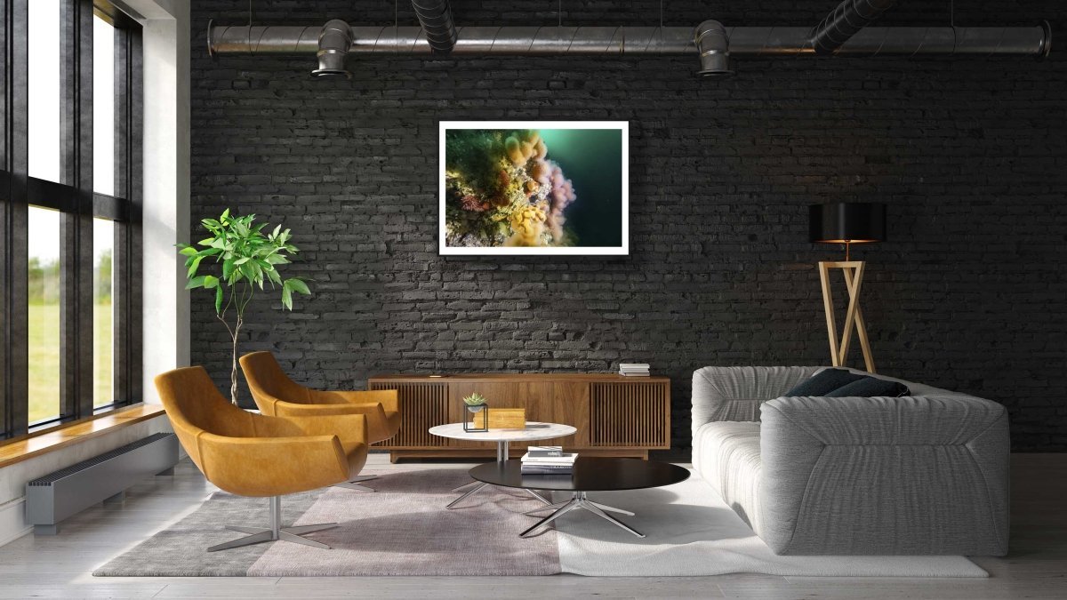 Framed soft corals photo, Salstraumen strait, black brick wall above cabinet in modern living room.