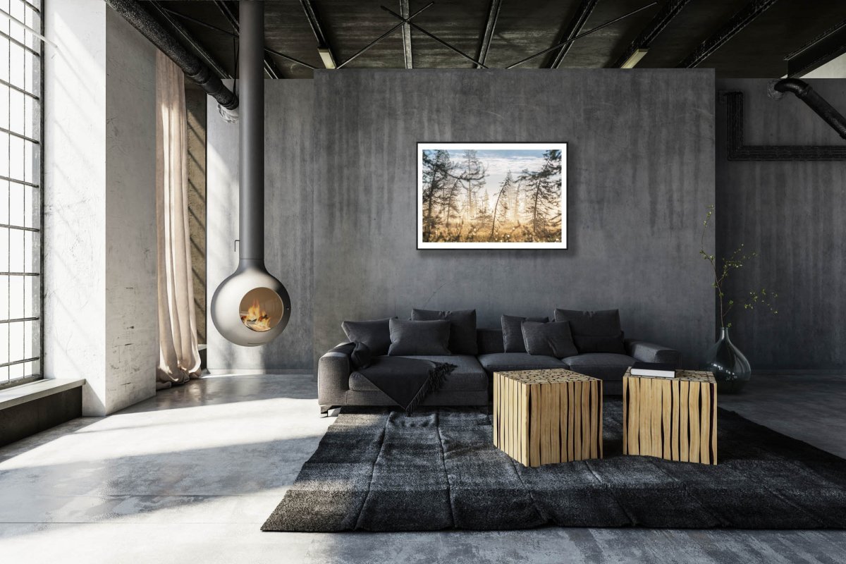 Framed photo of marshy forest at sunrise, morning dew glistens on shrubs, stone grey living room wall.