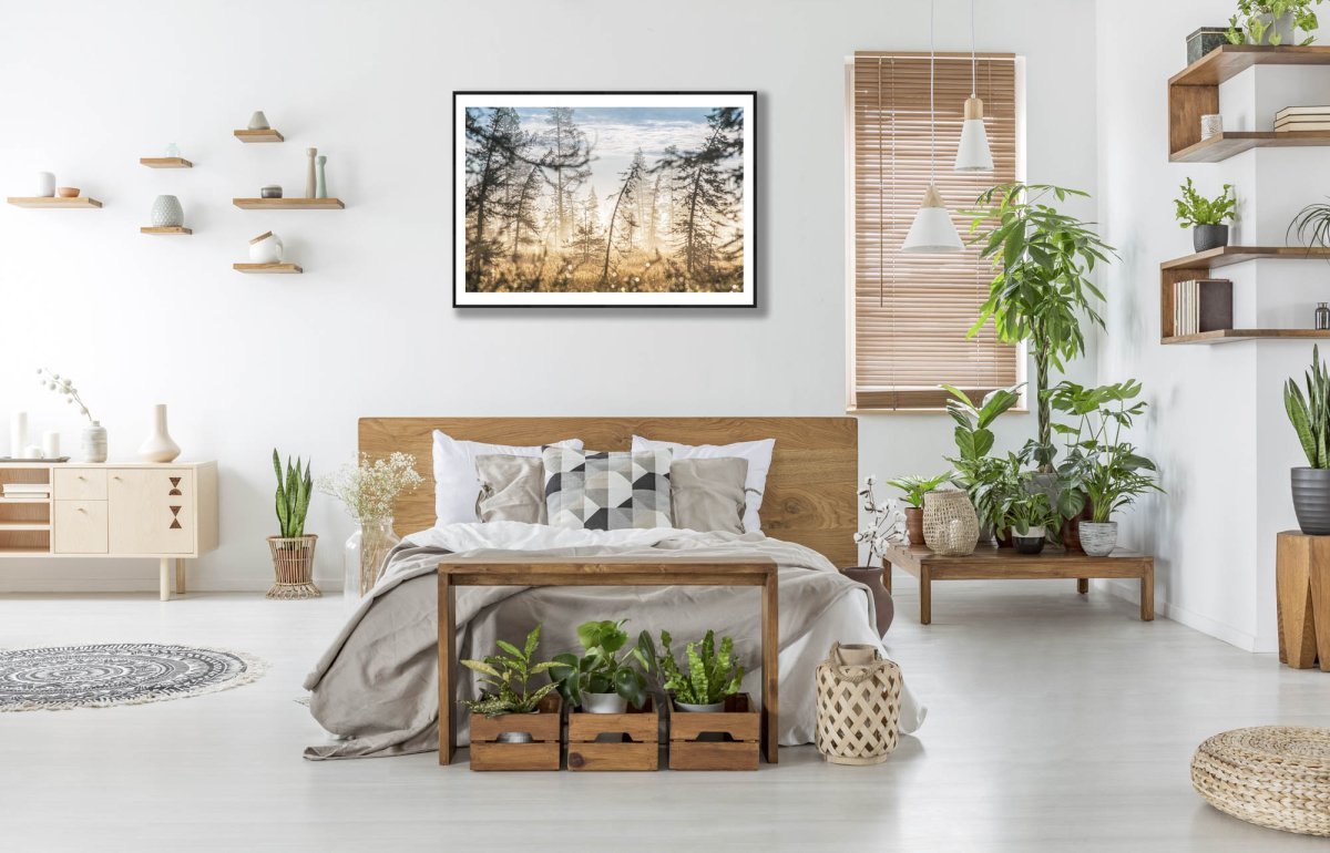 Framed photo of marshy forest at sunrise, morning dew glistens on shrubs, white bedroom wall.