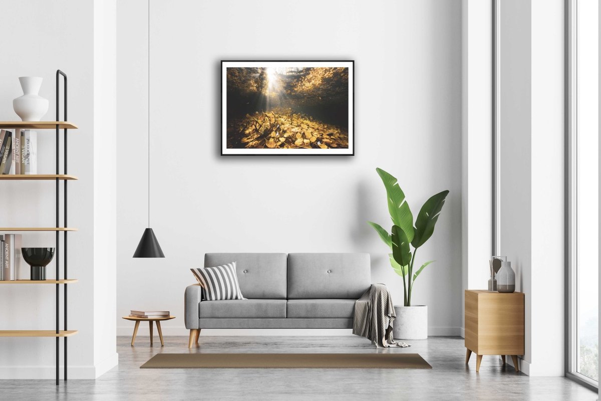 Framed underwater golden autumn leaves photo, sunlight, white wall above sofa.