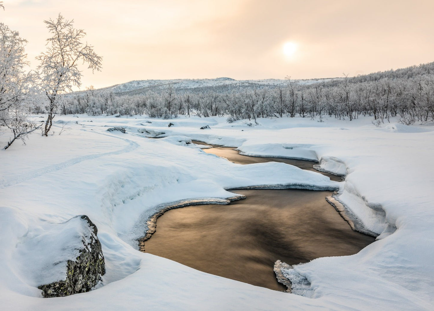 Arctic photo of frozen river, frosty birches, snowy fells, and bronze sunlight reflection.