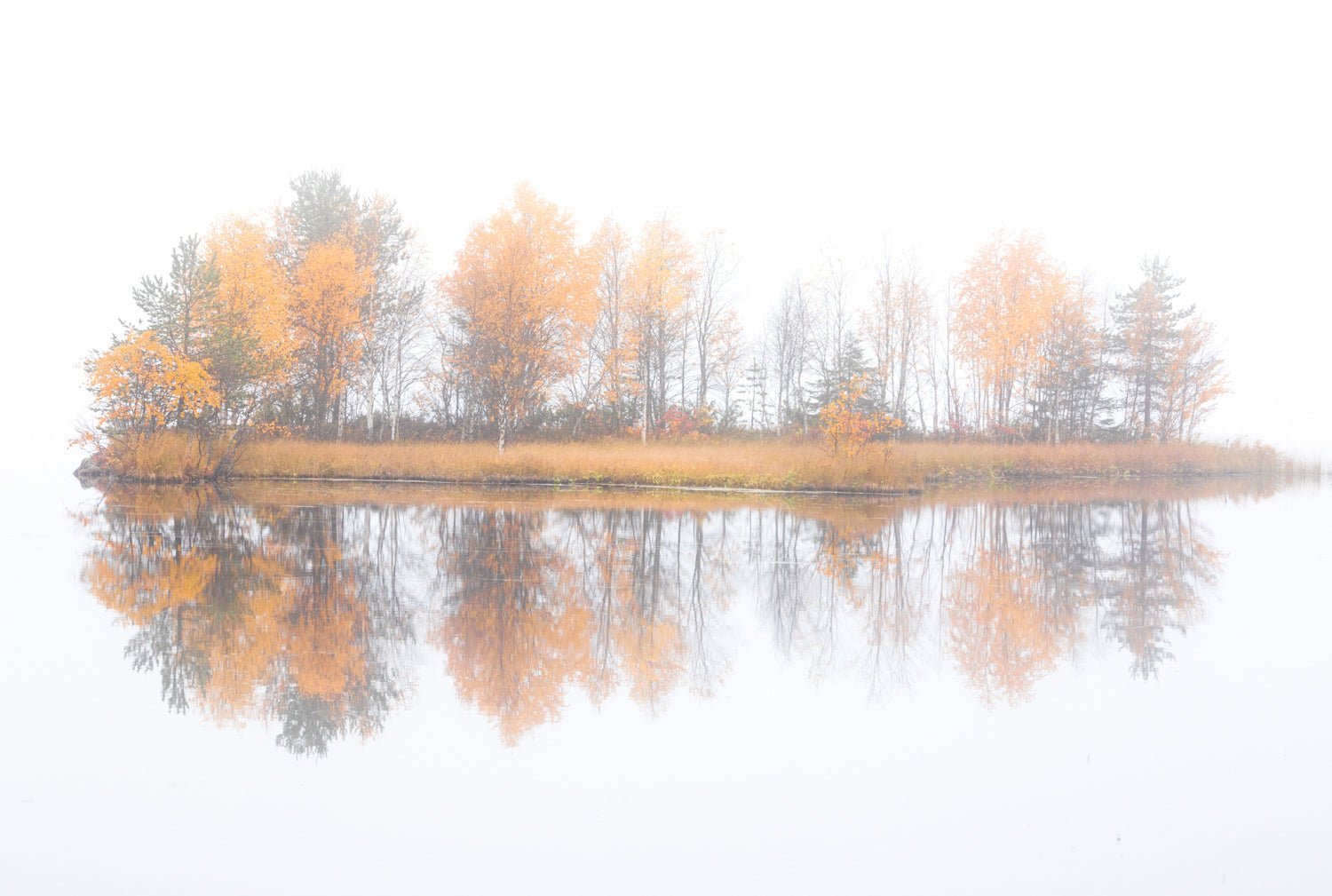 Misty lake with floating autumn island and its vibrant tree reflections.