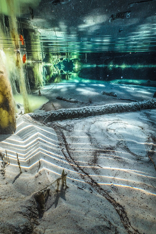 An underwater photo of a spring in a natural state in the middle of a forest.