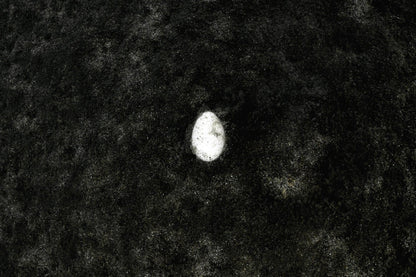 In the photograph, a broken egg lies at the bottom of the lake.