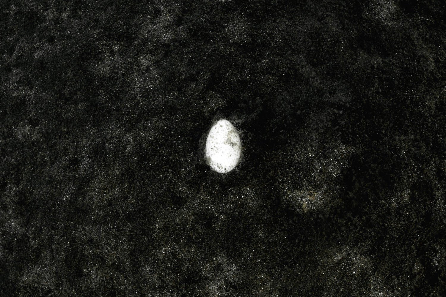 In the photograph, a broken egg lies at the bottom of the lake.