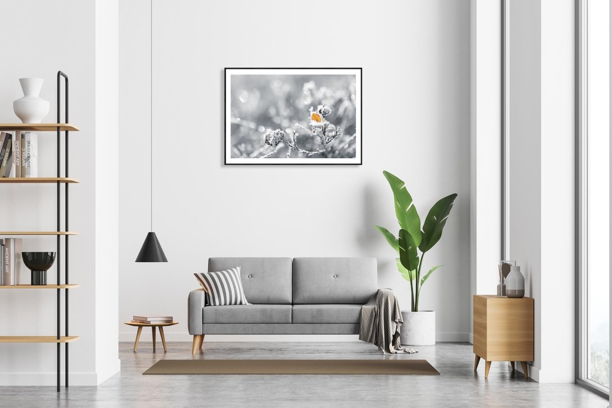 Framed fine art photography print of a frost-covered orange leaf on a blueberry plant and is hung on a white wall above a sofa in a modern living room.