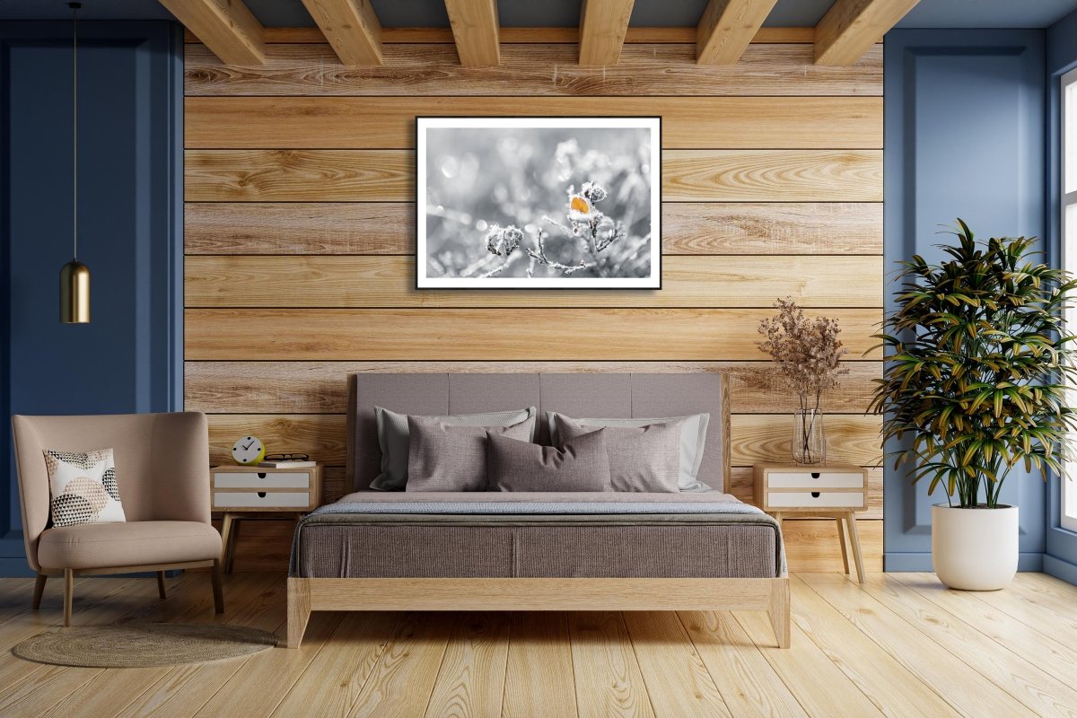 Framed fine art photography print of a frost-covered orange leaf on a blueberry plant and is hung on a wooden wall above a bed in a bedroom.