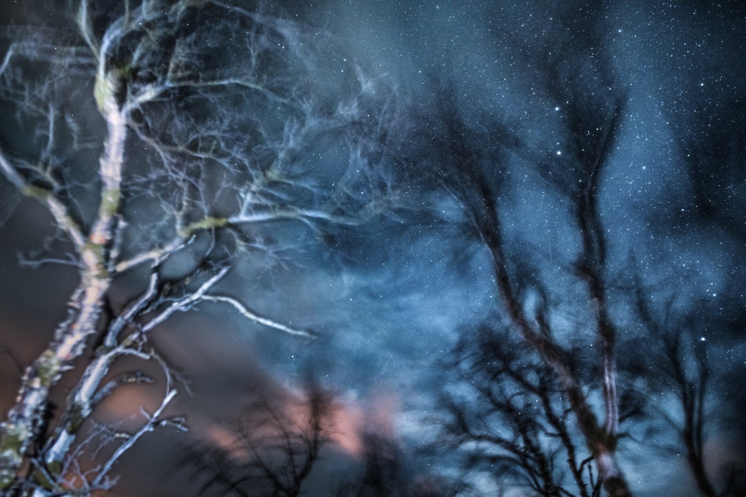 Winter storm long exposure photo of swaying trees, vibrant colors to silhouettes.