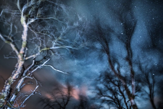 Winter storm long exposure photo of swaying trees, vibrant colors to silhouettes.