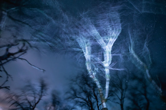 Winter storm at night photo, swaying trees in foreground, blue light, electrifying motion, stars in sky.