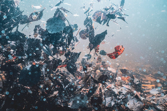 Swirling autumn leaves underwater, dark brown and black, beautiful and haunting pattern.