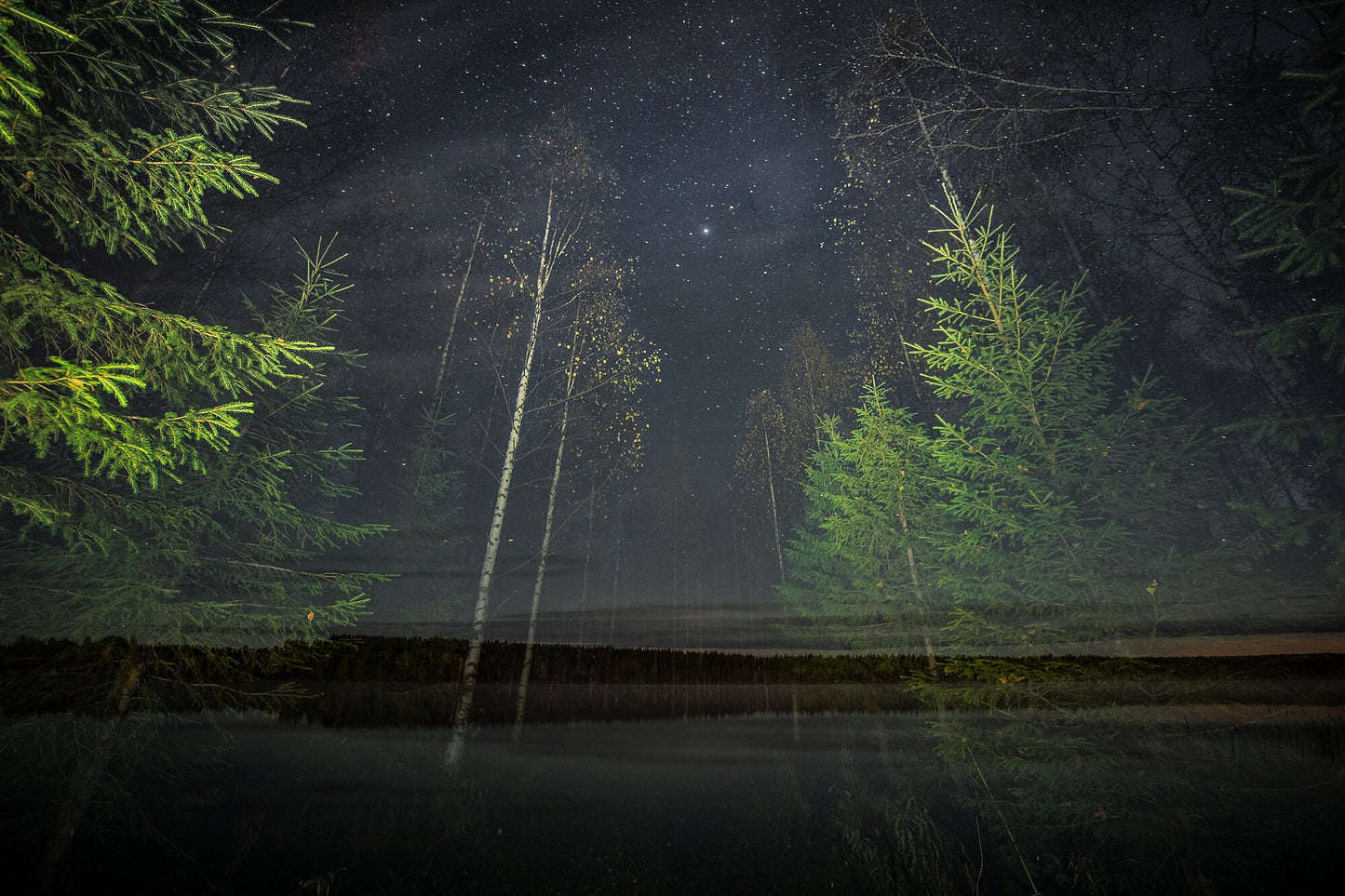Double exposure of autumnal forest and lake, with illuminated trees and shimmering stars.