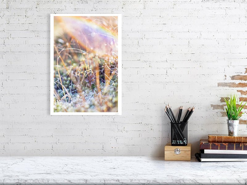 Fine art photography print of shining frosty marshland plants, displayed on a white wall in a living room.