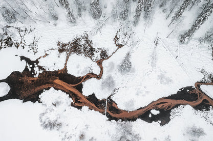 Aerial view of spring streams flowing into a pond amidst a snowy forest