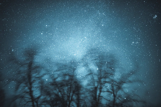 Long-exposure winter storm, swaying mountain birches, starry sky.