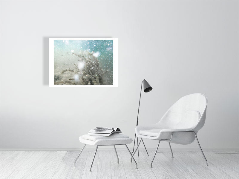 Print of The silt is messing up visibility near the water plant at the bottom of the lake on a white wall in a living room.