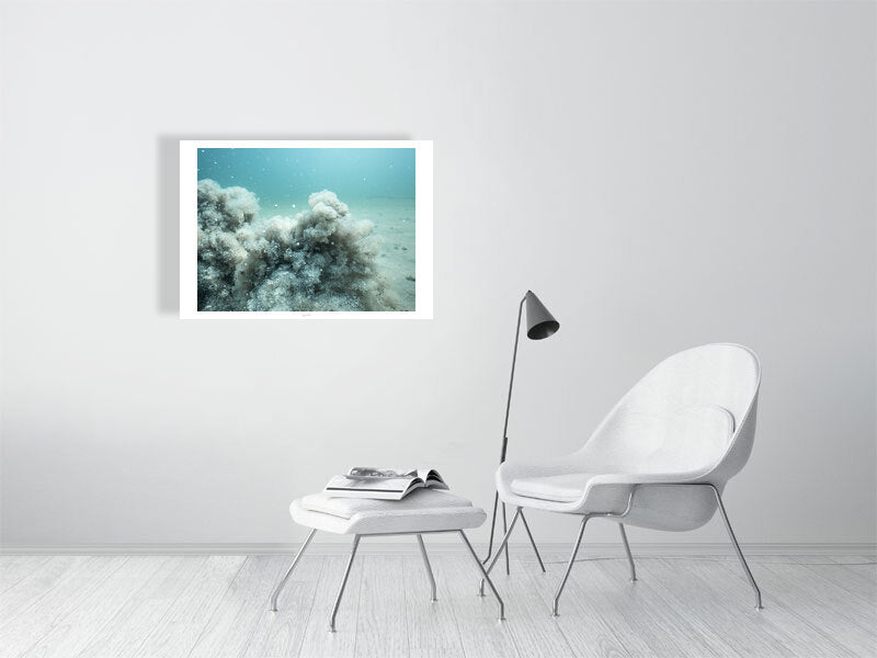 Print of The silt is messing up visibility at the bottom of the lake on a white wall in a living room.