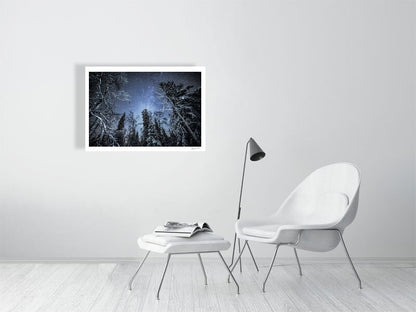 Photo print of illuminated trees in a winter forest under a starry sky, displayed on a white wall in a living room.