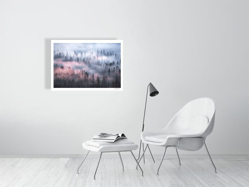 Boreal forest fog print, trees disappearing into the mist, white wall.