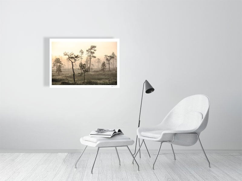 Fine art print of sunrise in misty marshland on white living room wall.