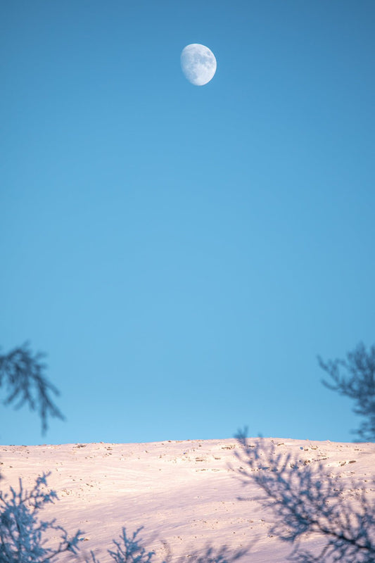 Minimalist Arctic landscape photo, birch branches, snow-covered fell, blue sky with moon, above des