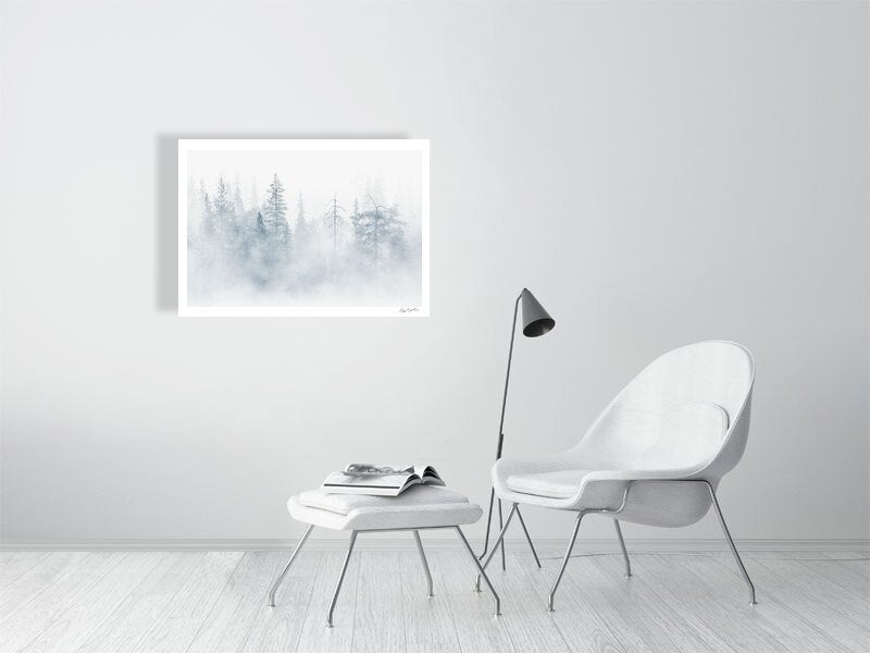  Photo, mist rising from lake veils northern forest, tree silhouettes, white living room wall.