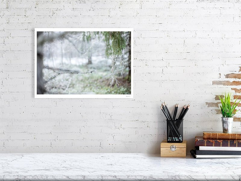 Print of a tilt-shift image of a frosted spruce forest in early winter, displayed on a white wall in a living room