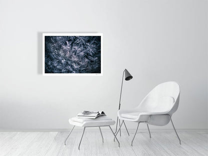 Close-up photo print of frost flowers, minimalist white and deep blue, white living room wall.