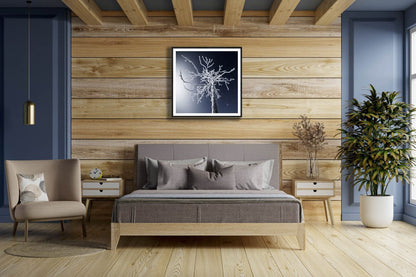 Framed frosty deadwood print, moonlight, starry sky, bedroom wooden wall.